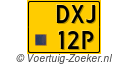 DXJ-12-P