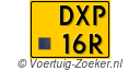 DXP-16-R
