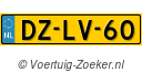 DZLV60