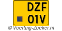 DZF01V