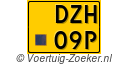 DZH09P