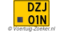 DZJ-01-N