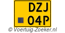 DZJ04P