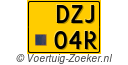 DZJ-04-R
