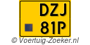 DZJ-81-P