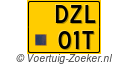 DZL-01-T