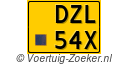 DZL54X
