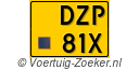 DZP-81-X