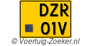 DZR-01-V
