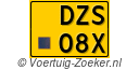 DZS08X