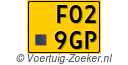 F-029-GP
