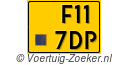 F-117-DP