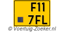 F117FL