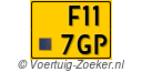 F117GP