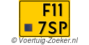 F-117-SP
