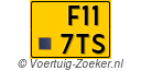 F-117-TS
