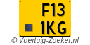 F131KG