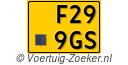 F-299-GS