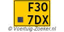 F-307-DX