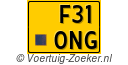 F310NG