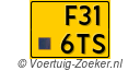 F-316-TS