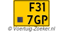 F-317-GP
