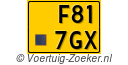 F-817-GX