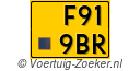 F-919-BR