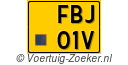 FBJ-01-V
