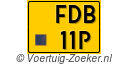 FDB-11-P