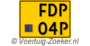 FDP-04-P