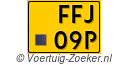 FFJ-09-P