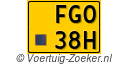 FG038H