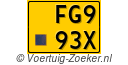 FG993X