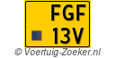 FGF13V