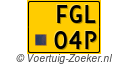 FGL-04-P