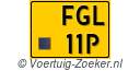 FGL-11-P