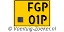 FGP-01-P