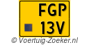 FGP-13-V