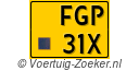 FGP31X