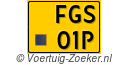 FGS01P