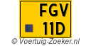 FGV11D
