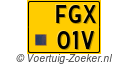 FGX-01-V