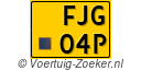 FJG04P