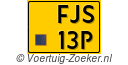 FJS-13-P
