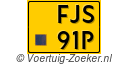 FJS-91-P