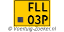 FLL-03-P