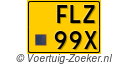 FLZ99X