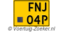 FNJ-04-P