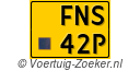 FNS-42-P